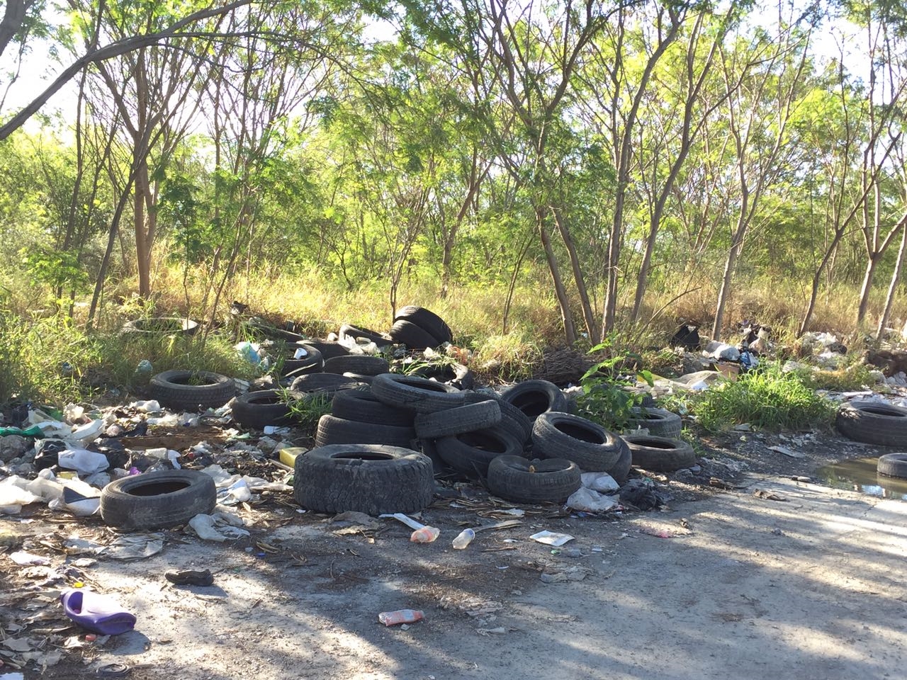 Denuncian Basurero Clandestino En Colinas De San Juan En Ju Rez