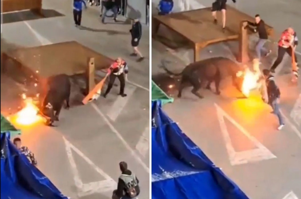 Hombre Le Prende Fuego A Un Toro Y Recibe Una Cornada