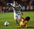 https://i.info7.mx/img/i7/160000/168402_tigres6_thumb.jpg