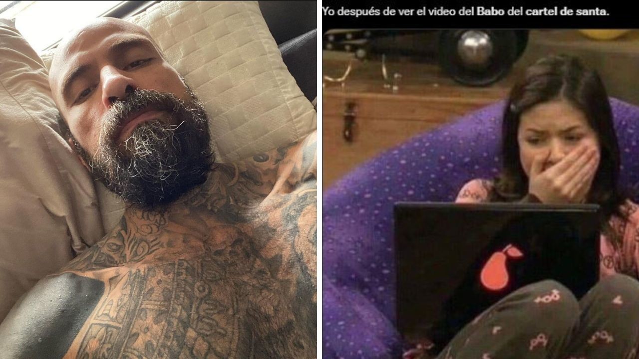 Video de babo donde verlo
