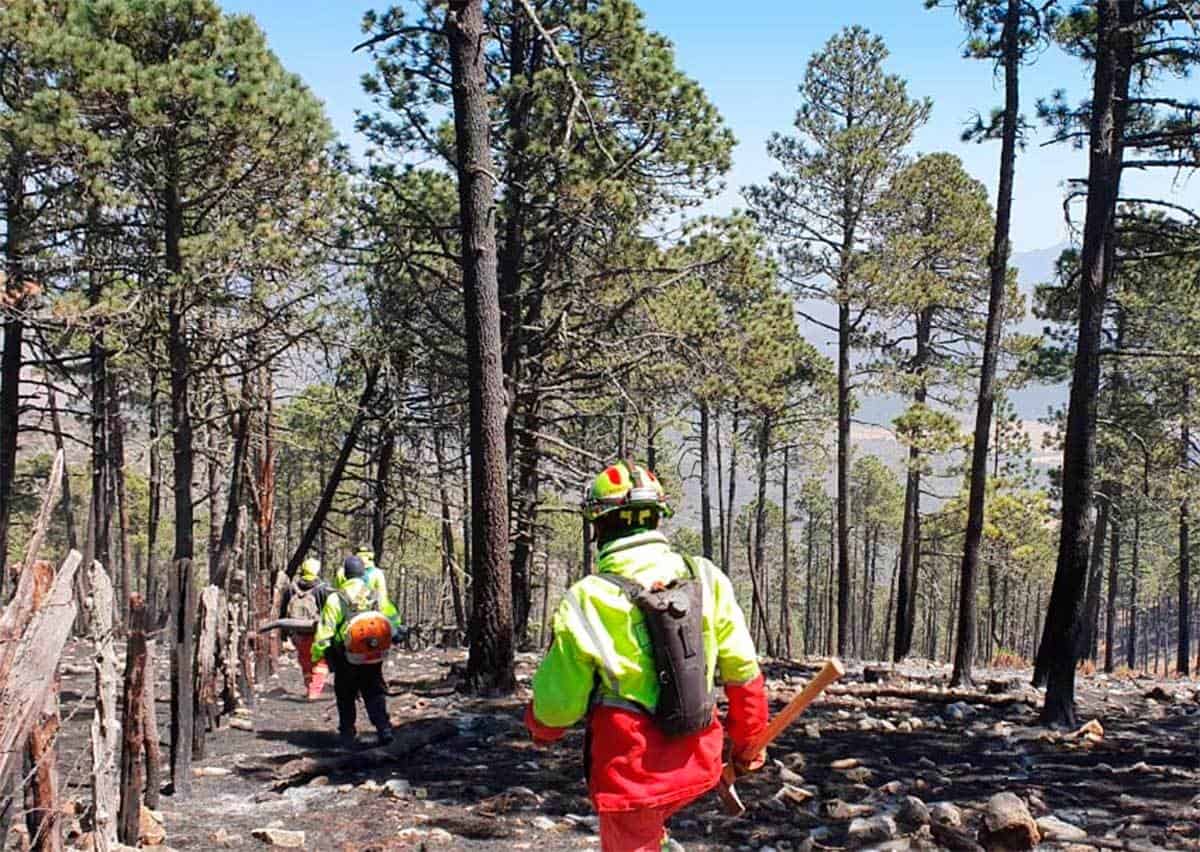 Estos Son Los Incendios Forestales Que Se Registran En Nuevo León Y Sus Afectaciones 4728