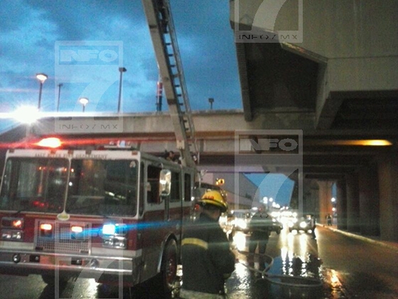 https://i.info7.mx/img/i7/480000/488961_cierre-estacion-metro-lerdo-tejada-enjambre-abejas_info7.jpg